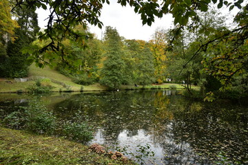 Végétation luxuriante au début de l'automne autour de l'étang du parc Tournay-Solvay à Watermael-Boitsfort 