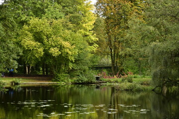 Fototapeta na wymiar Végétation luxuriante au début de l'automne autour de l'étang du parc Tournay-Solvay à Watermael-Boitsfort 