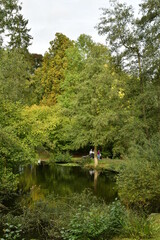 Végétation luxuriante au début de l'automne autour de l'étang du parc Tournay-Solvay à Watermael-Boitsfort 