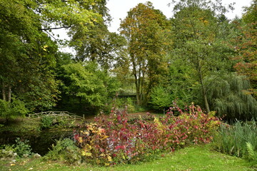Végétation luxuriante en automne le long d'une marre au parc Tournay Solvay à Watermael-Boitsfort 