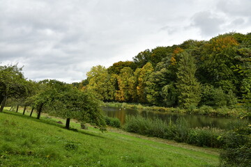Fototapeta na wymiar Végétation luxuriante au début de l'automne à la réserve naturelle aux Etangs de Boitsfort à Watermael-Boitsfort au sud-est de Bruxelles 