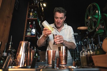 View of a professional bartender preparing a cocktail behind the counter of a beautiful and colourful cocktail bar using a shaker and bottles with fresh fruits in foreground, Lisbon, Portugal.
