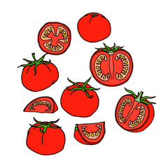 set of red tomatoes, design elements, menu decoration, color vector illustration with contour lines isolated on a white background in a hand drawn style