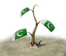 3d sprout with Pakistan flag on white
