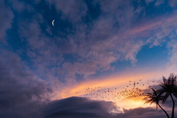 Obraz premium Dark clouds in Florida sunset