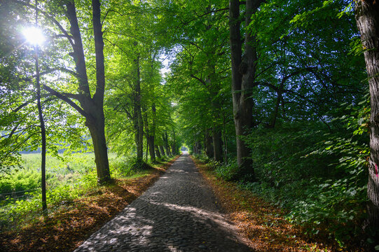 Klopstockweg zur Stinteninsel am Schaalsee