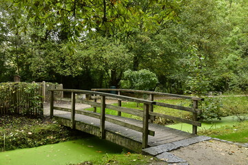 Le petit pont en bois traversant les eaux couvertes de mousse du Watermaelbeek au parc de la H&eacute;ronni&egrave;re &agrave; Auderghem