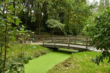 Naklejka premium Le petit pont en bois traversant les eaux couvertes de mousse du Watermaelbeek au parc de la Héronnière à Auderghem