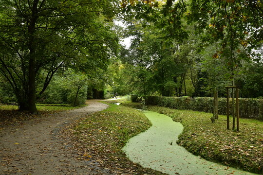 Le ruisseaux Watermaelbeek couvert de micro-n&eacute;nuphars en zig-zag sous la v&eacute;g&eacute;tation luxuriante du parc de la H&eacute;ronni&egrave;re &agrave; Auderghem 