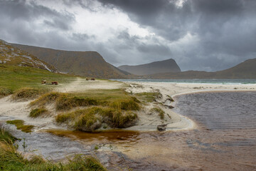 Ein Strand auf den Lofoten