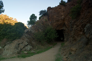 skała grota tunel kamienie drzewa natura