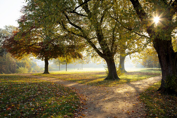 Sunny Morning mood in Park at Krefeld