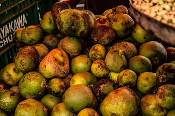 Uma porção de pequi na casca, em exposição para venda na banca da feira.