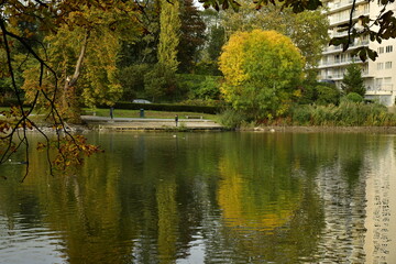 Fototapeta na wymiar L'arbre en boule à feuillage en partie dorée se reflétant dans les eaux de l'étang de la pêcherie au parc de la Héronnière à Auderghem 