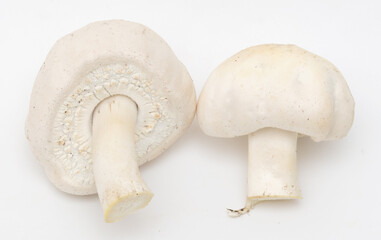 Champignon mushrooms on a white background.