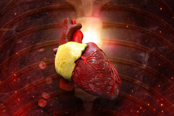 human heart inside the body, 3d illustration