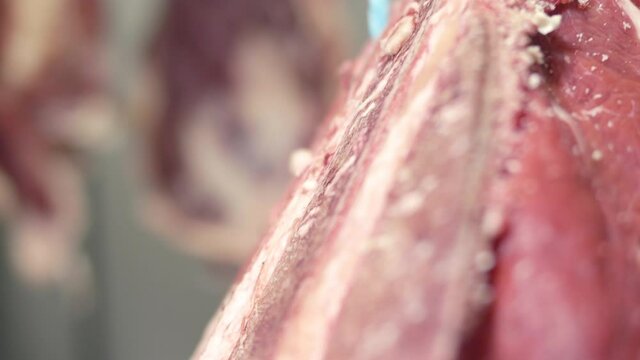 viande, boucherie, b&oelig;uf, crocher, frigo, stockage, tourner, rouge, aliment, nature, macro, isol&eacute;, animal, couleur, chili, poivre, gros plan, chaud, frais, femme, mode