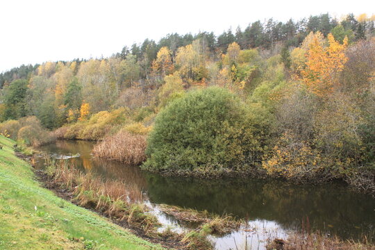 autumn in the forest - Heggedal 