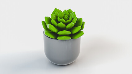 Ornamental plant succulent in a gray pot on a white background. 3d rendering illustration.