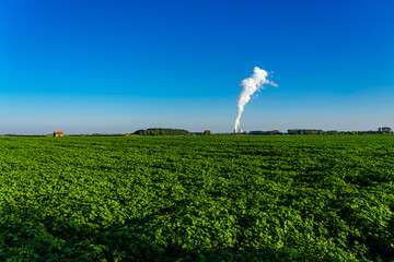 Blick auf Atomkraftwerk, AKW, Gundremmingen, mit blauem Himmel und hoher Rauchsäule eines...