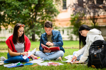 Students sitting on the grass and studying together at the park