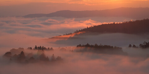 Valley mist landscape in morning sunlight back lit