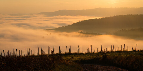 Morning dawn sunlight landscape with fog