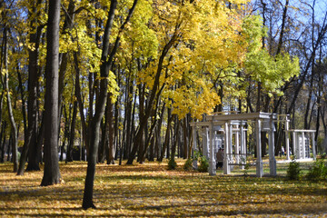 Fototapeta na wymiar Autumn. Sunny joyful day! Long shadows from trees fall on the ground covered with a carpet of yellow leaves. Nearby is a recreation area: swing benches, pavilions with books.