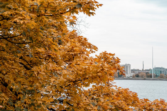 「1510」の画像 3,681 件の Stock 写真、ベクターおよびビデオ Adobe Stock