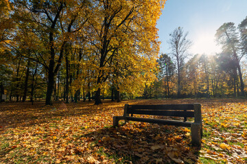Plakat Autumn scene in a city park.