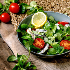Green field salad with pickled anchovies or sardines fillet