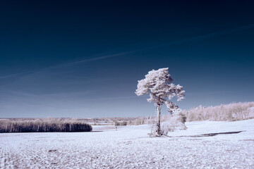 infrared photography - surreal ir photo of landscape with trees under cloudy sky - the art of our...