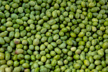 freshly picked green olives ahead of time