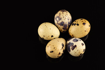 Close up of Quail eggs on black background.