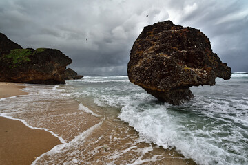 The rocks formation on the beach of Bathsheba, East coast of island Barbados, Caribbean Islands