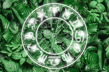 The concept of a horoscope, a circle with the signs of the zodiac on a background of greenery, astrology. Consulting with the stars.