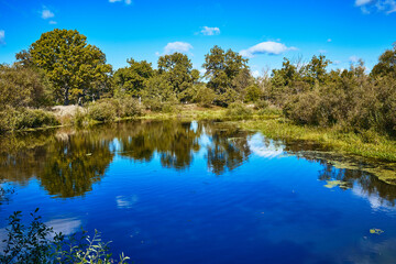 Fototapeta na wymiar the shore of the pond on a warm autumn day