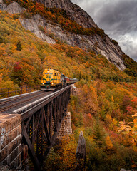 scenic train passing by bridge
