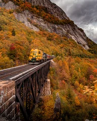 Fototapete Schokoladenbraun malerischer Zug, der an der Brücke vorbeifährt