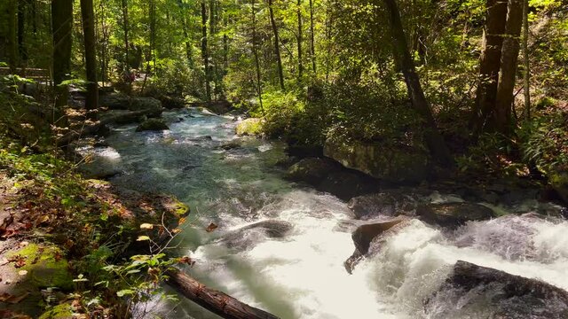 Dpwnhill gush of water at Anna Ruby falls