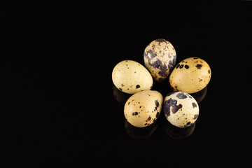 Close up of Quail eggs on black background.