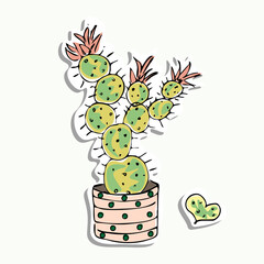 Indoor cactus in a pot. Cactus isolated. Sticker. Cartoon style. EPS 10