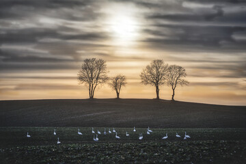 Zachód słońca © wrzesientomek