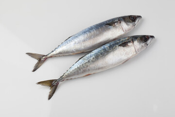 고등어,날것,다듬기,도마,사람없음,생선,소금,실내,어류,오브젝트,음식,음식재료,절임