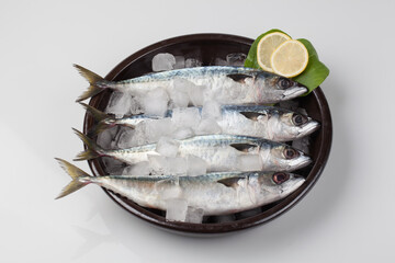 고등어,날것,다듬기,도마,사람없음,생선,소금,실내,어류,오브젝트,음식,음식재료,절임 © jinho Park