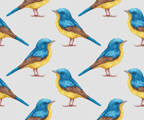 Seamless Pattern with hand-drawn Blue Flycatcher, digitally colored