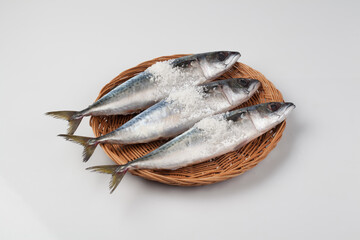 고등어,날것,다듬기,도마,사람없음,생선,소금,실내,어류,오브젝트,음식,음식재료,절임