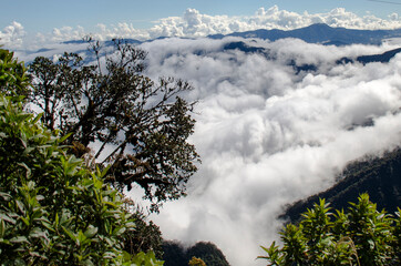Ecovia, camino de la muerte