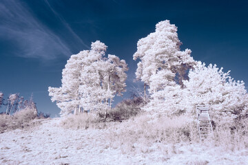 infrared photography - surreal ir photo of landscape with trees under cloudy sky - the art of our...