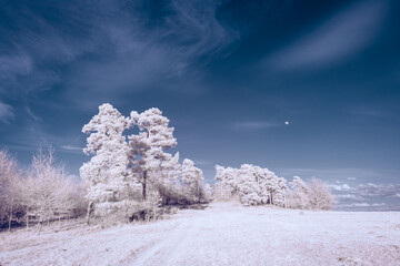 infrared photography - surreal ir photo of landscape with trees under cloudy sky - the art of our...